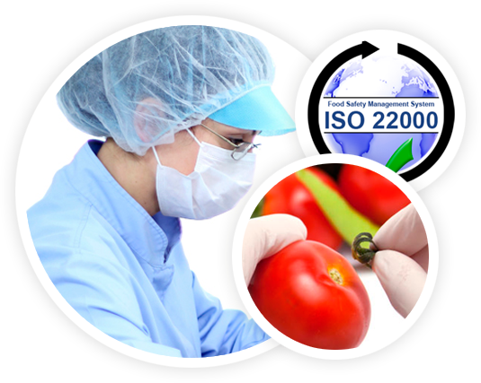 Gestión de Alimentos